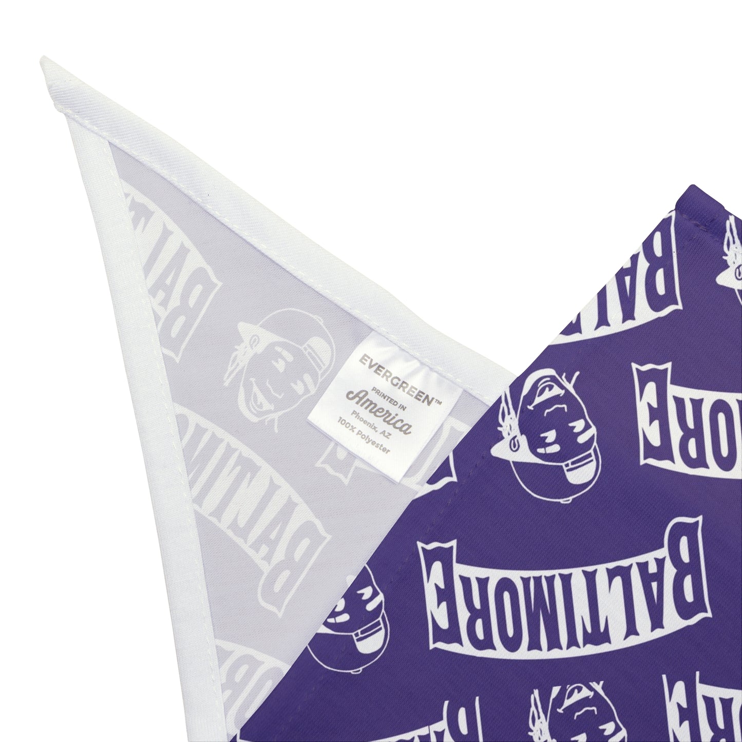 Ravens Packwood Pet Bandana