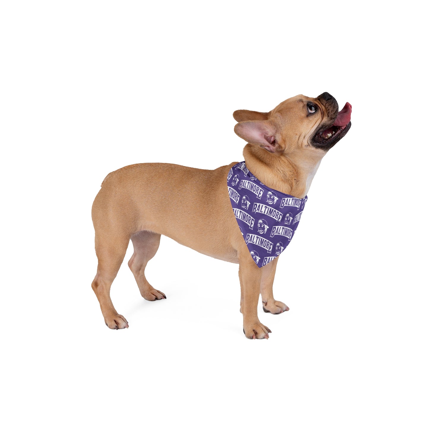 Ravens Packwood Pet Bandana